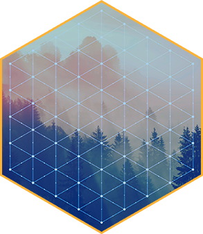 Hexagon pattern with trees in background
